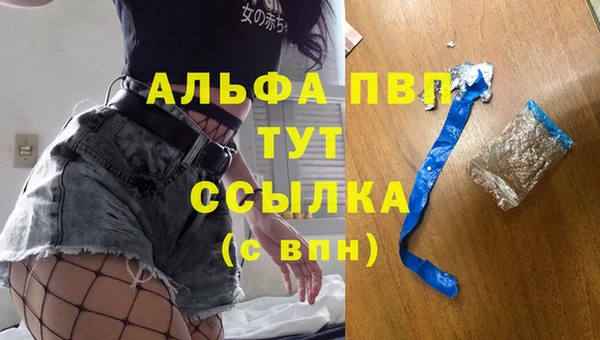 гидра Бородино