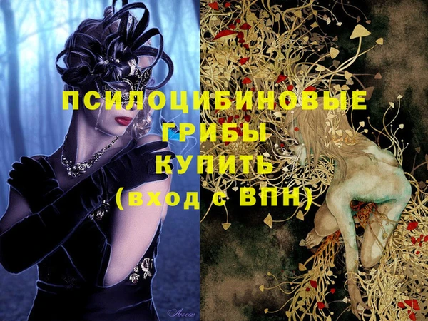 сатива Богданович