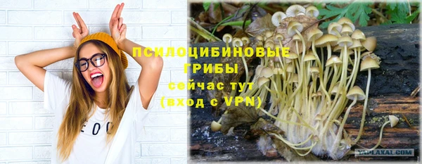 прущая мука Бугульма