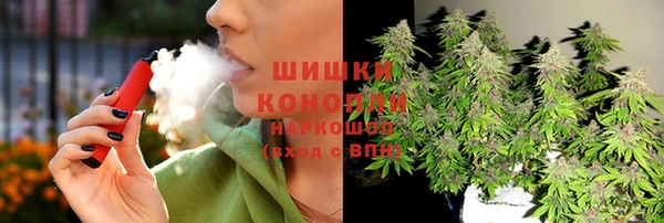 прущие грибы Семёнов