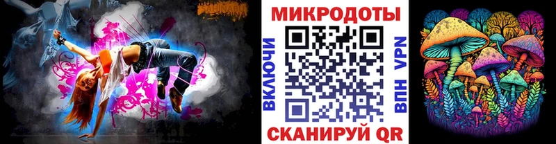 где продают   Брюховецкая  Галлюциногенные грибы Psilocybe 